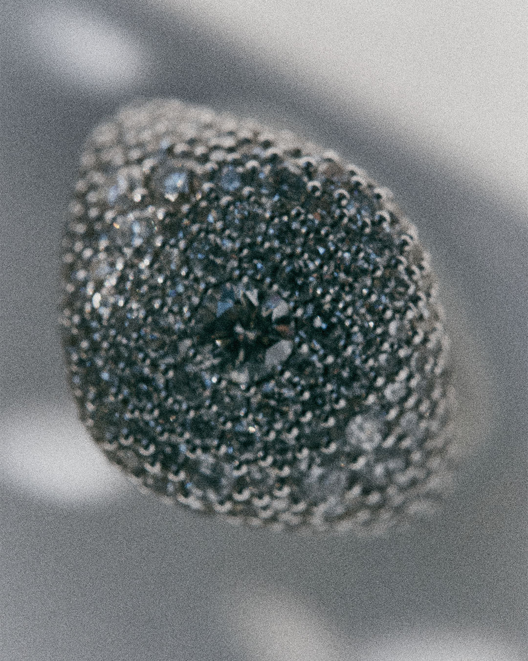 Lucy Delius – New website and shop launch