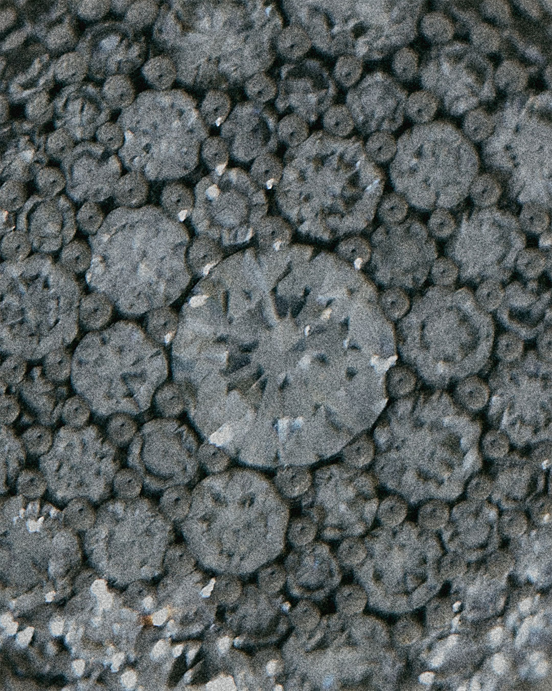 Lucy Delius – New website and shop launch