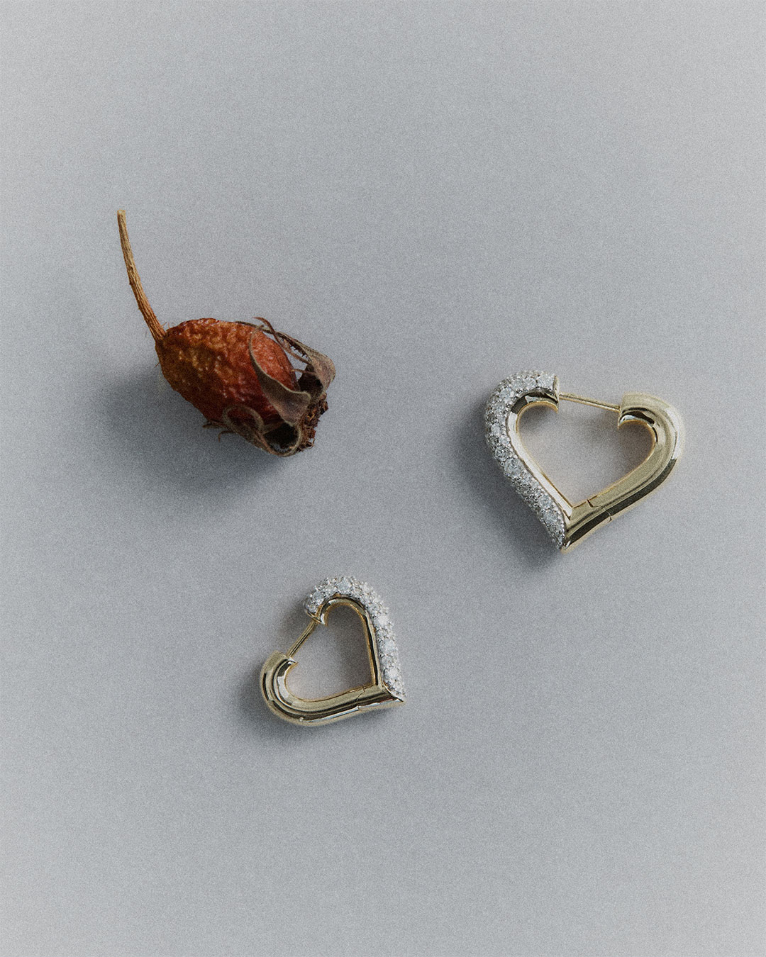 Lucy Delius – New website and shop launch