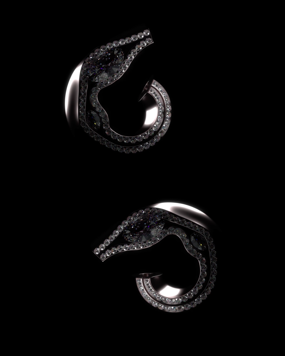 AOI for Levuma OVERVIEW
